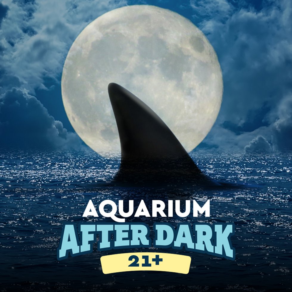 AquariumAfterDark_21+_1440SQ.jpg