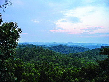 landscape-and-forest-in-daniel-boone-national-forest-in-kentucky.jpg