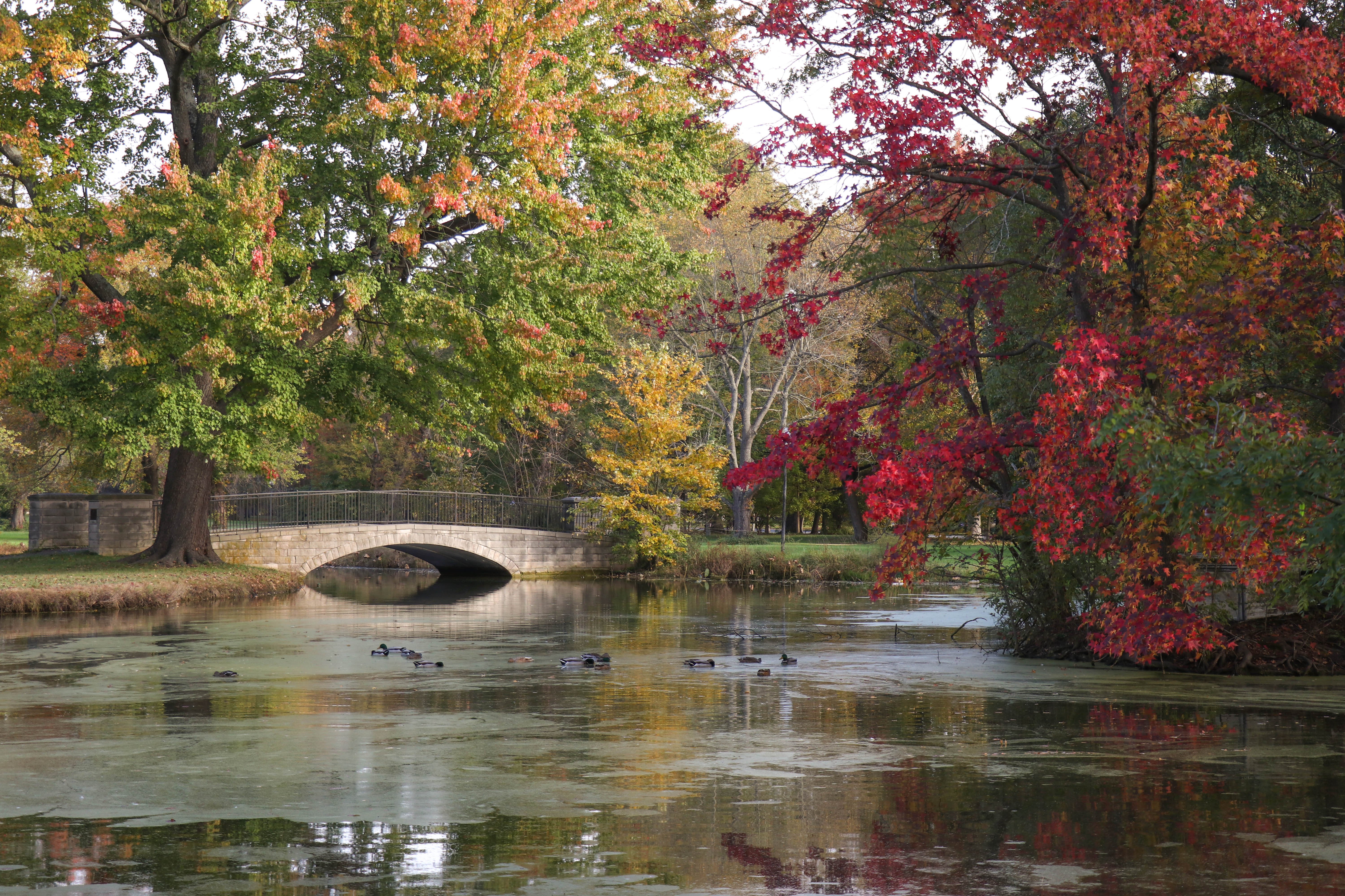 Chickasaw Park is only Olmsted Park designed for Black Louisvillians