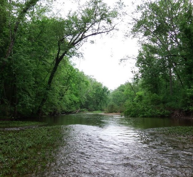 The Little Caney Creek: Dam Building - kentuckymonthly.com